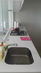 The Lakefront Residences (D22), Condominium #573128971